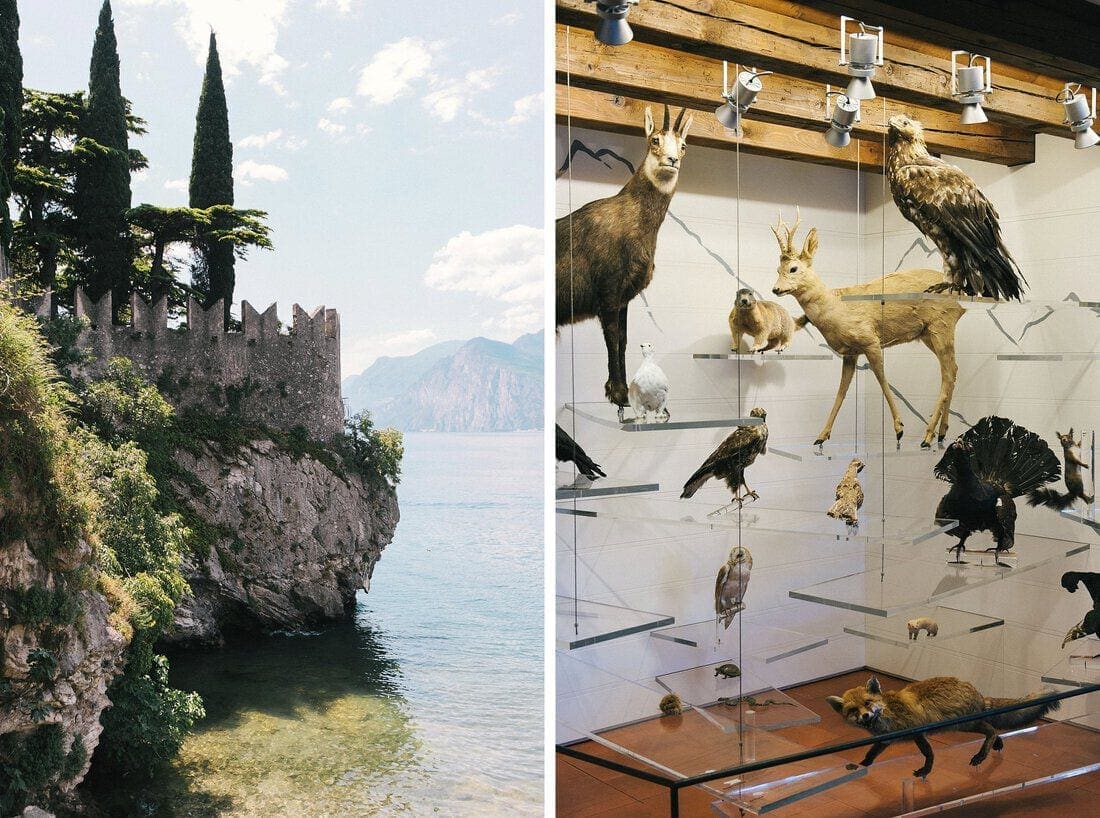 malcesine-castle-wedding_0072